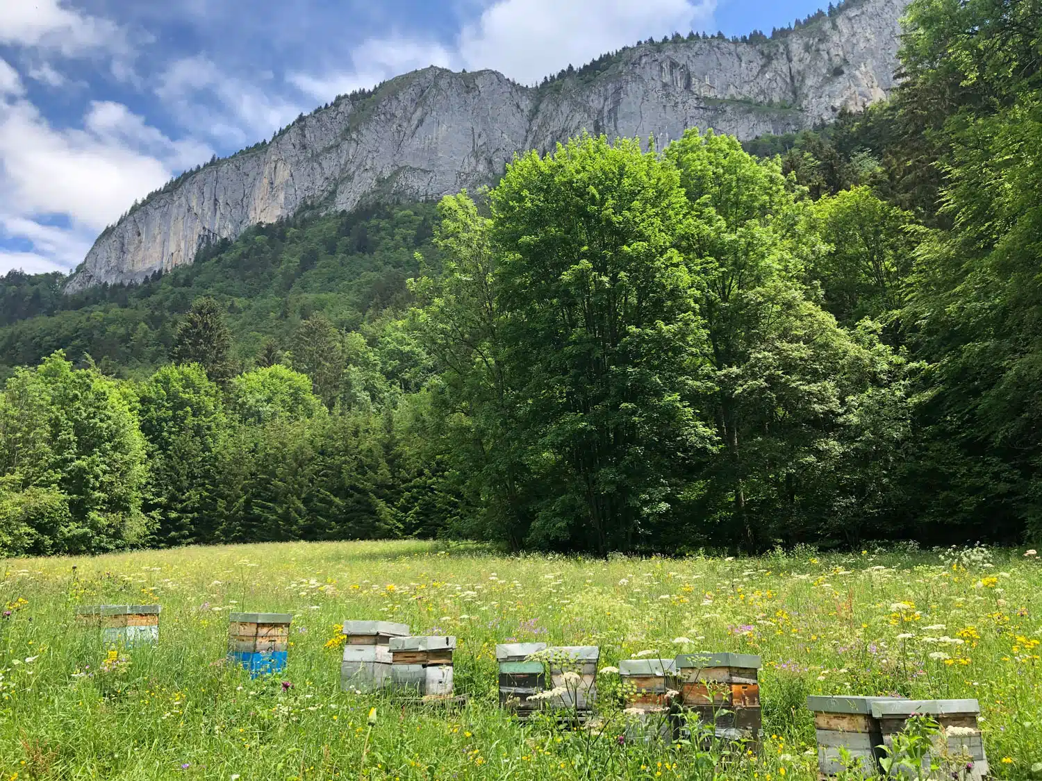 Yoga and Hiking Weekend