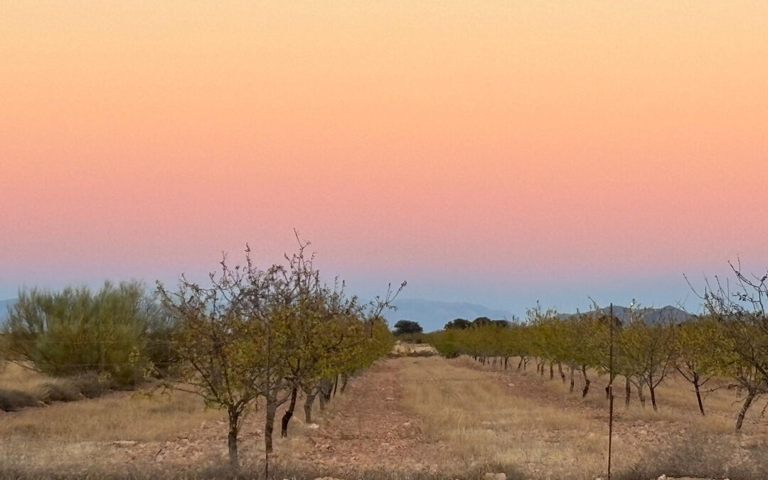 Hiking in the Alpujarras and Andalusia: Walking Through Spain’s Wild Soul