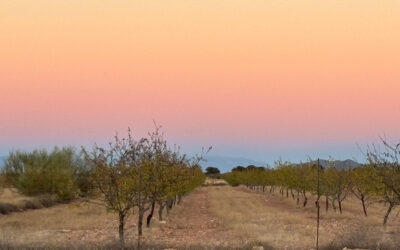 Hiking in the Alpujarras and Andalusia: Walking Through Spain’s Wild Soul