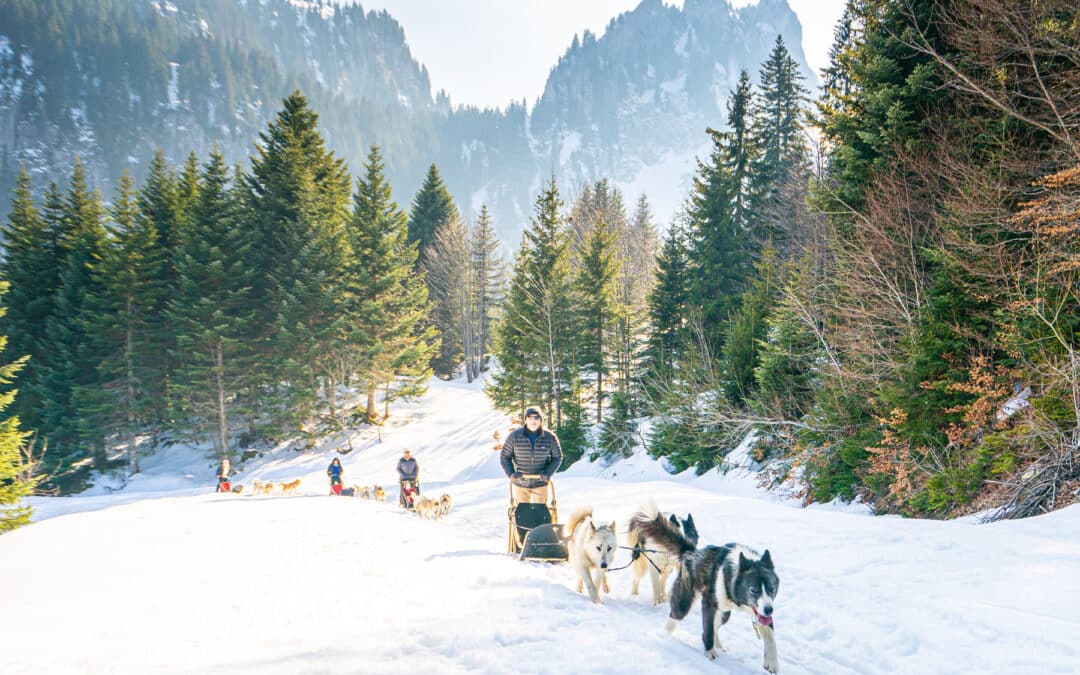 Alps Winter Adventure