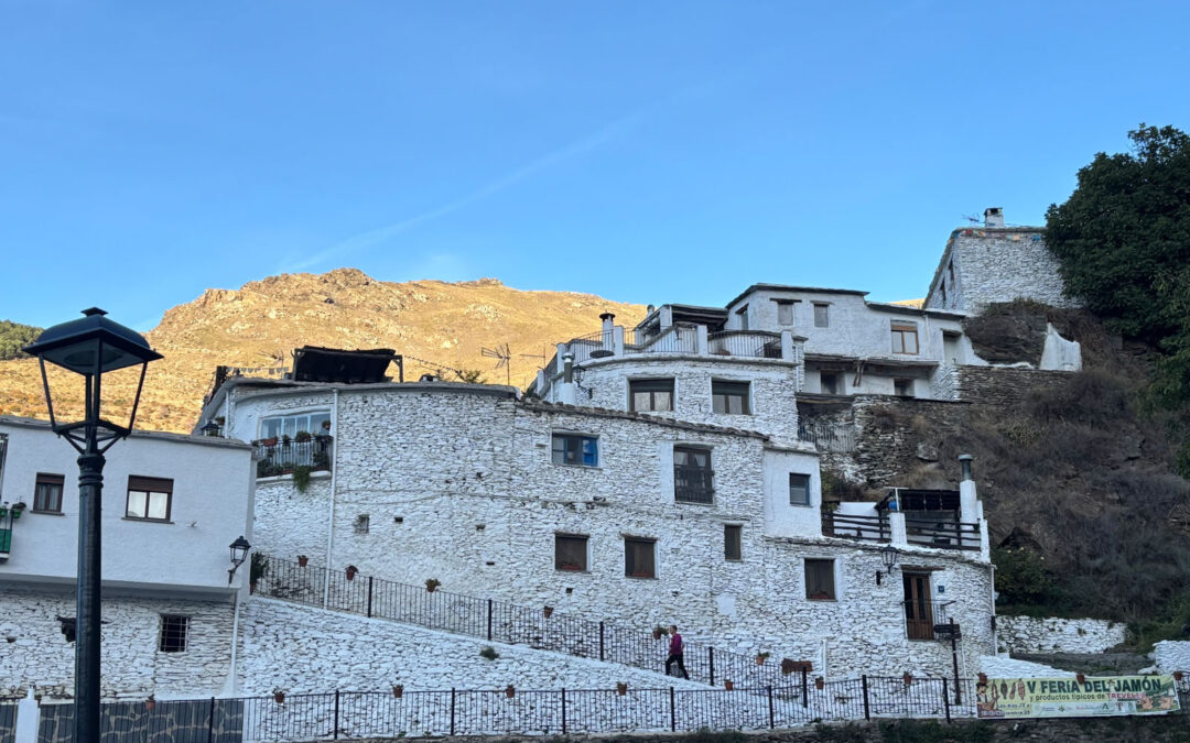 The Andalusian Legacy – A Union of People and Nature